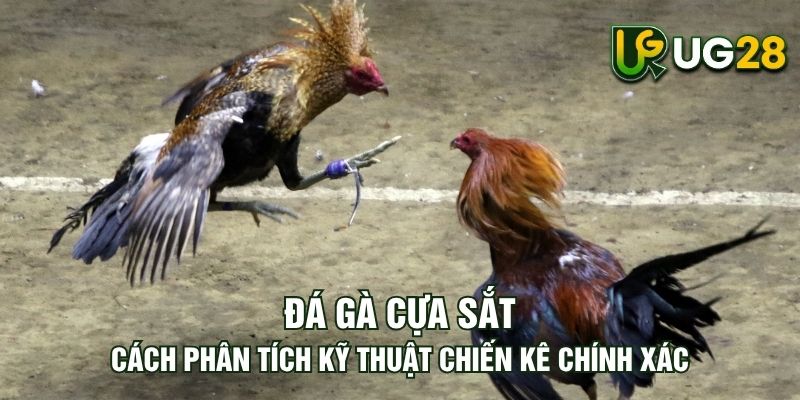 Tin tức