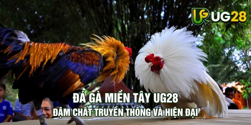 Tin tức