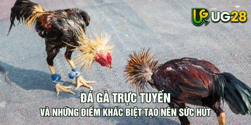 Tin tức
