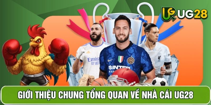 Tổng quan về UG28