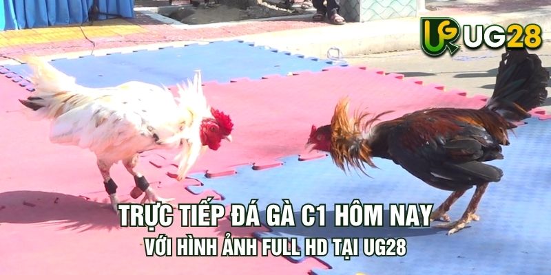 Tin tức